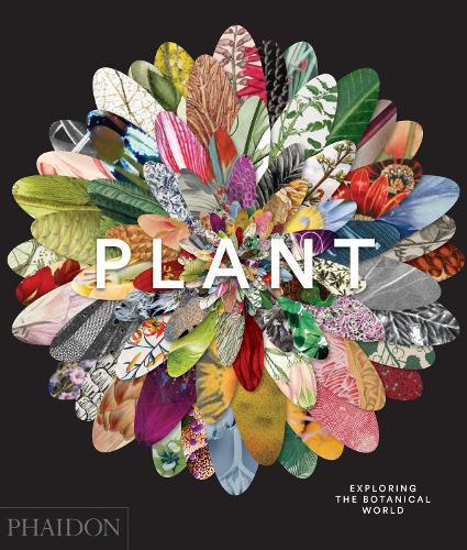 Cover image for Plant, Exploring the Botanical World