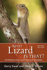 Cover image for What Lizard is That?