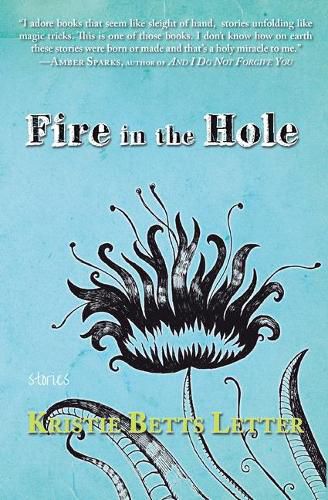 Cover image for Fire in the Hole