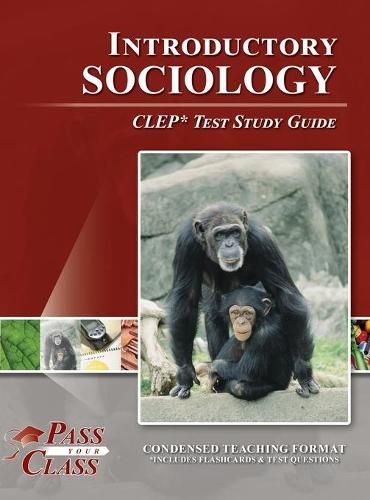 Cover image for Introductory Sociology CLEP Test Study Guide