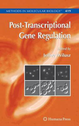 Cover image for Post-Transcriptional Gene Regulation