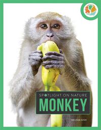 Cover image for Monkey