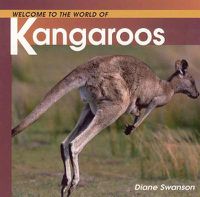 Cover image for Welcome to the World of Kangaroos