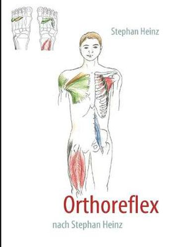 Cover image for Orthoreflex: nach Stephan Heinz