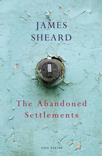 Cover image for The Abandoned Settlements