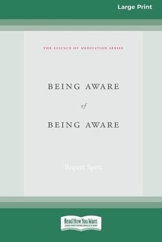 Cover image for Being Aware of Being Aware