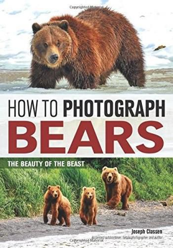 Cover image for How To Photograph Bears: The Beauty of The Beast
