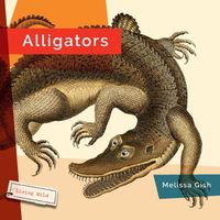 Cover image for Alligators