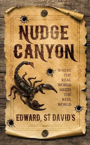 Cover image for Nudge Canyon