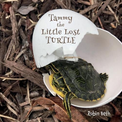 Cover image for Tammy the Little Lost Turtle