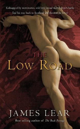 Cover image for The Low Road