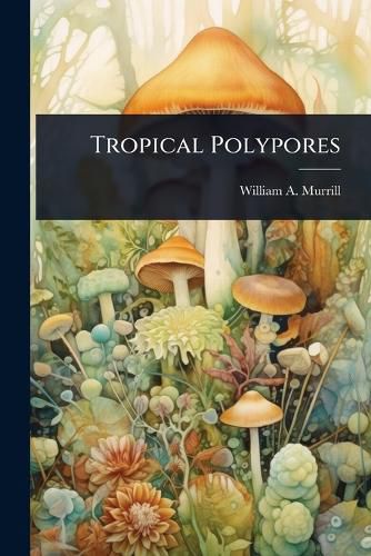 Cover image for Tropical Polypores