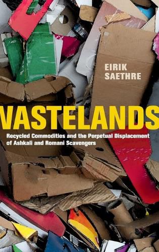 Cover image for Wastelands: Recycled Commodities and the Perpetual Displacement of Ashkali and Romani Scavengers