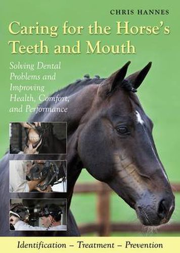 Cover image for Caring for the Horse's Teeth and Mouth: Solving Dental Problems and Improving Health, Comfort and Performance