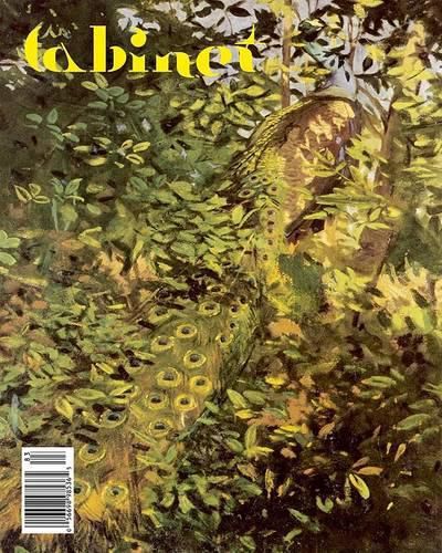 Cover image for Cabinet 33: Deception