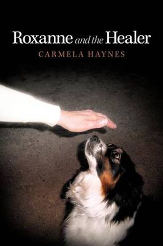 Cover image for Roxanne and the Healer