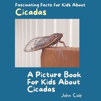 Cover image for A Picture Book for Kids About Cicadas