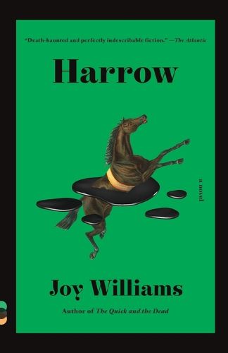 Cover image for Harrow: A novel