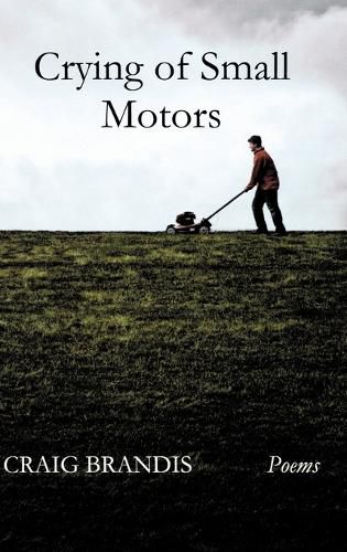 Cover image for Crying of Small Motors