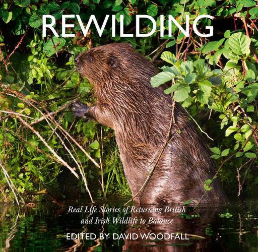 Cover image for Rewilding: Real Life Stories of Returning British and Irish Wildlife to Balance