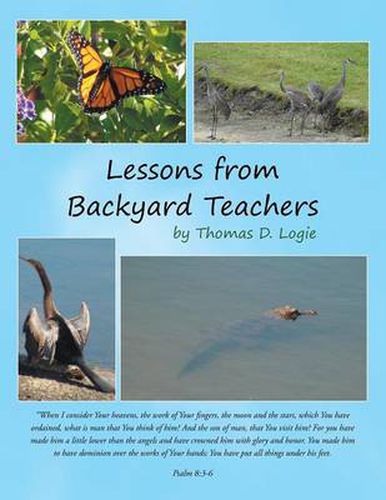 Cover image for Lessons from Backyard Teachers