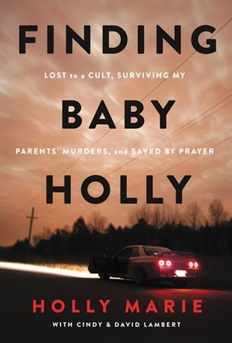 Cover image for Finding Baby Holly