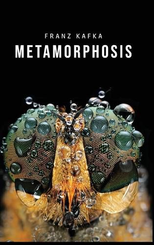 Cover image for Metamorphosis