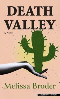 Cover image for Death Valley