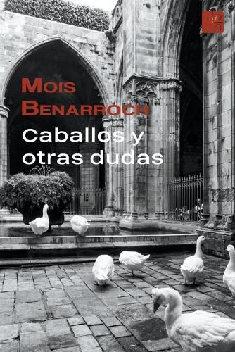 Cover image for Caballos y otras dudas