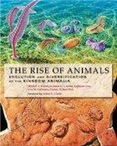 Cover image for The Rise of Animals: Evolution and Diversification of the Kingdom Animalia