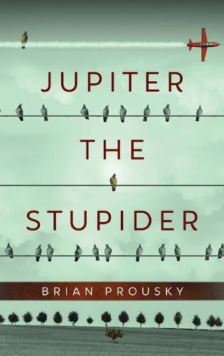 Cover image for Jupiter the Stupider