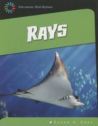 Cover image for Rays