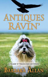 Cover image for Antiques Ravin