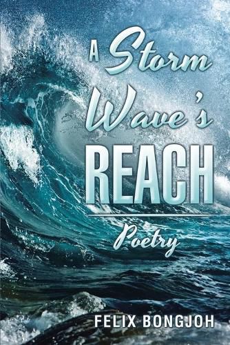 Cover image for A Storm Wave's Reach