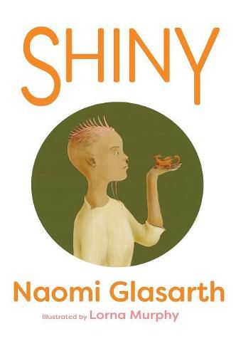 Cover image for Shiny