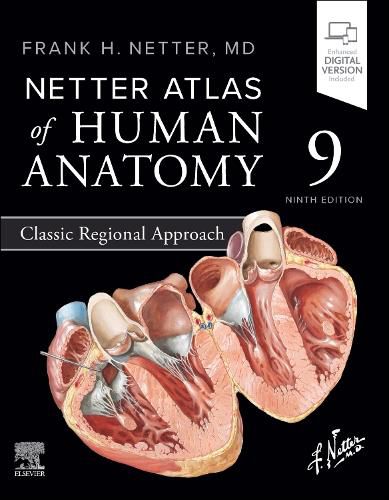 Cover image for Netter Atlas of Human Anatomy: Classic Regional Approach