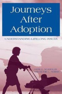 Cover image for Journeys After Adoption: Understanding Lifelong Issues