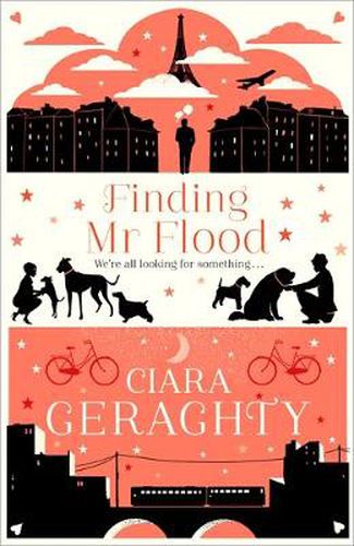 Cover image for Finding Mr Flood