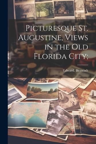 Cover image for Picturesque St. Augustine, Views in the Old Florida City;