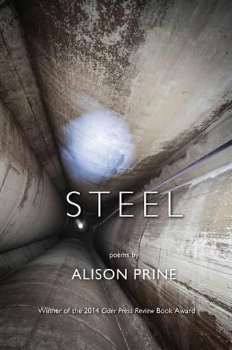 Cover image for Steel