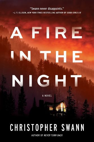 Cover image for A Fire In The Night: A Novel