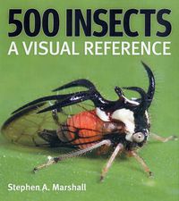 Cover image for 500 Insects: A Visual Reference