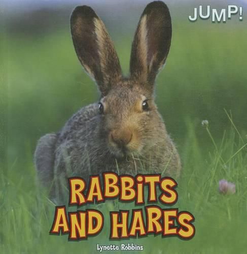 Cover image for Rabbits and Hares