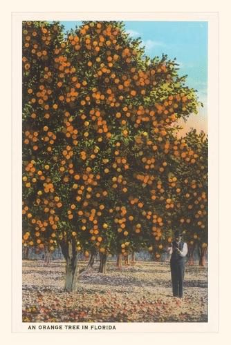 Cover image for Vintage Journal Orange Trees