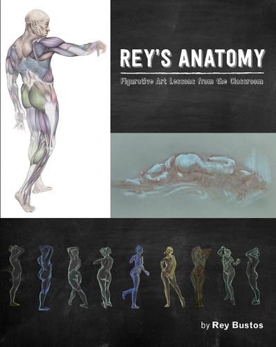 Cover image for Rey's Anatomy