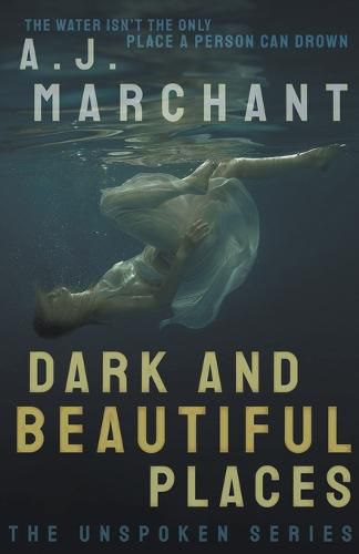 Cover image for Dark and Beautiful Places