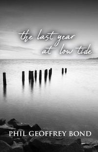 Cover image for The Last Year at Low Tide