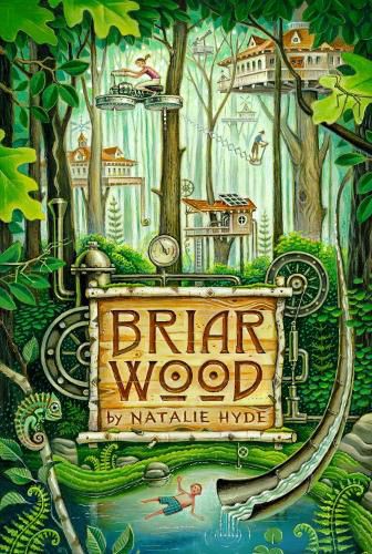 Cover image for Briarwood