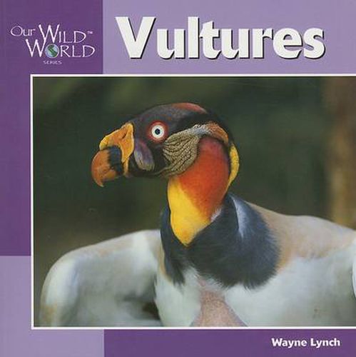 Cover image for Vultures