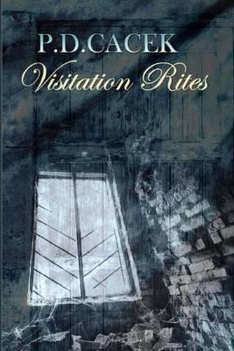 Cover image for Visitation Rites
